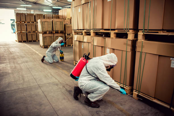 Professional Pest Control in Forest Lake, MN