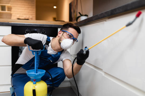 Best Pest Control Near Me in Forest Lake, MN