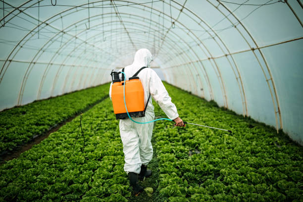 Best Residential Pest Control  in Forest Lake, MN